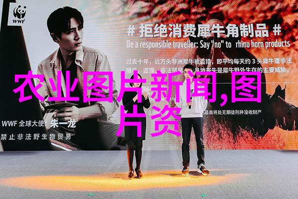 山东十大花卉批发基地 - 品味春意探秘我省鲜花盛地