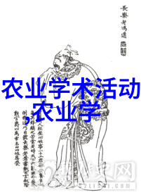 月圆人不圆探索内心的光与影