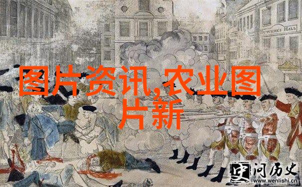 小型微耕机我的小伙伴在田间的故事