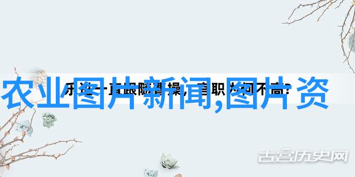 牧野的律动牛羊交响曲
