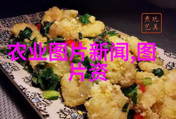 姬菇生态学研究从土壤微生物的视角探索森林地层间的互动机制