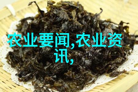 狂妃的逆袭从宫廷深处到权力的巅峰