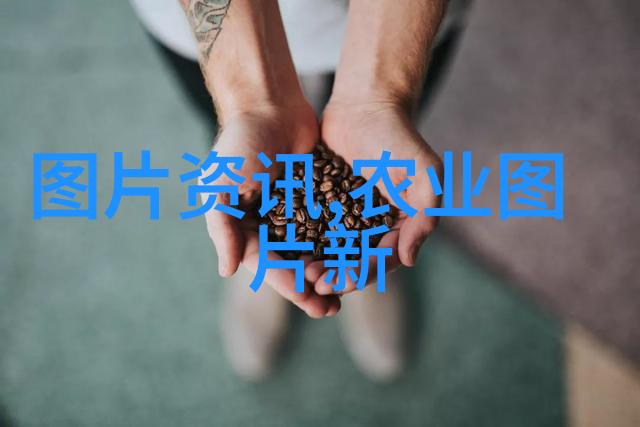 蜂舞奇缘翩翩起舞的神秘园丁