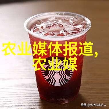 提升效率的钩爪物料提升机的运作原理与应用场景