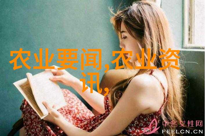 裂语中的断层人性与国度的裂痕探究