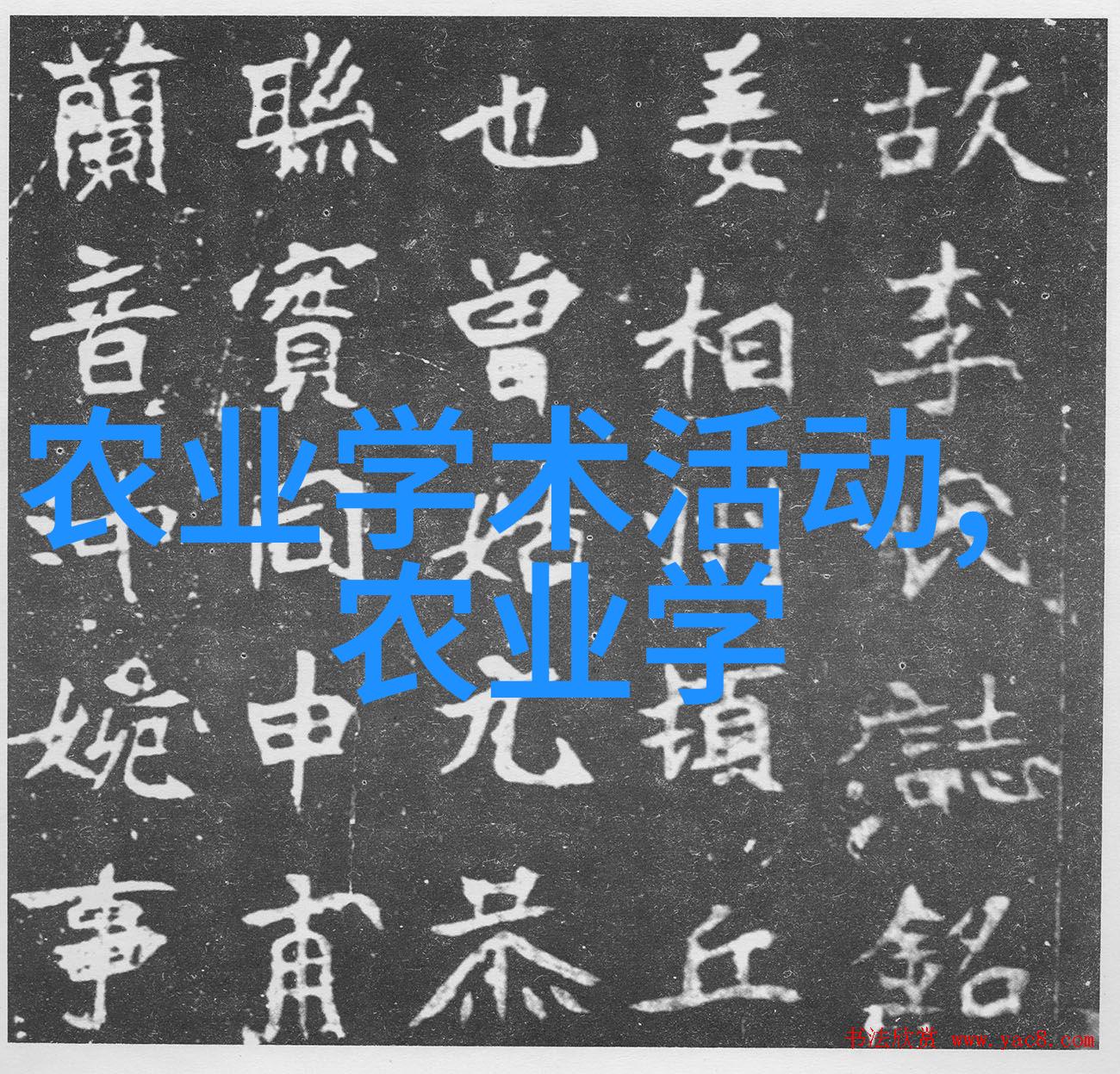 建一个二亩地的大棚多少钱-绿色蔬菜的梦想二亩地大棚建设全览