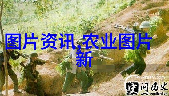 常见的绿化苗木品种-园林之冠探索常见绿化苗木的魅力
