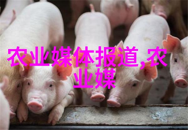 探索自然奇迹全球10种令人惊叹的稀有植物