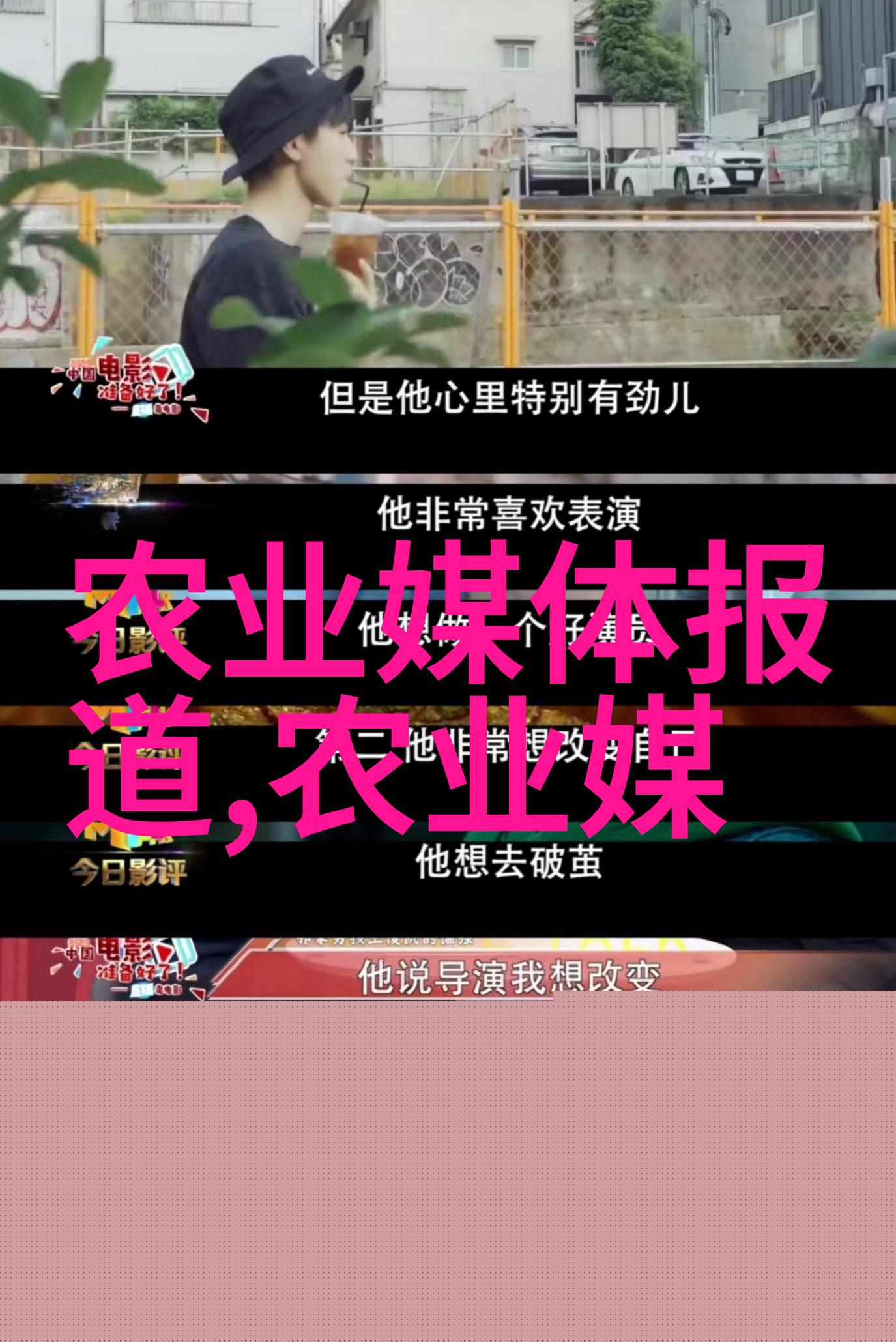 水果籽种盆栽艺术色彩斑斓的自然装饰