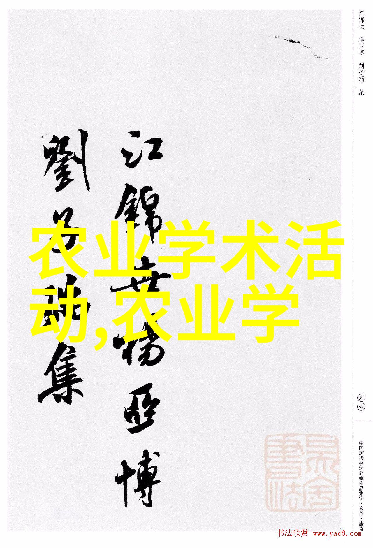 真实家庭水果照片我家的果园里那些难忘的午后光景