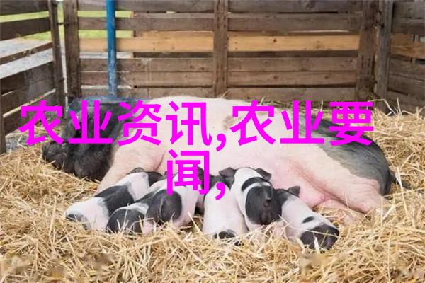 百元一斤的草药究竟有哪些奇效