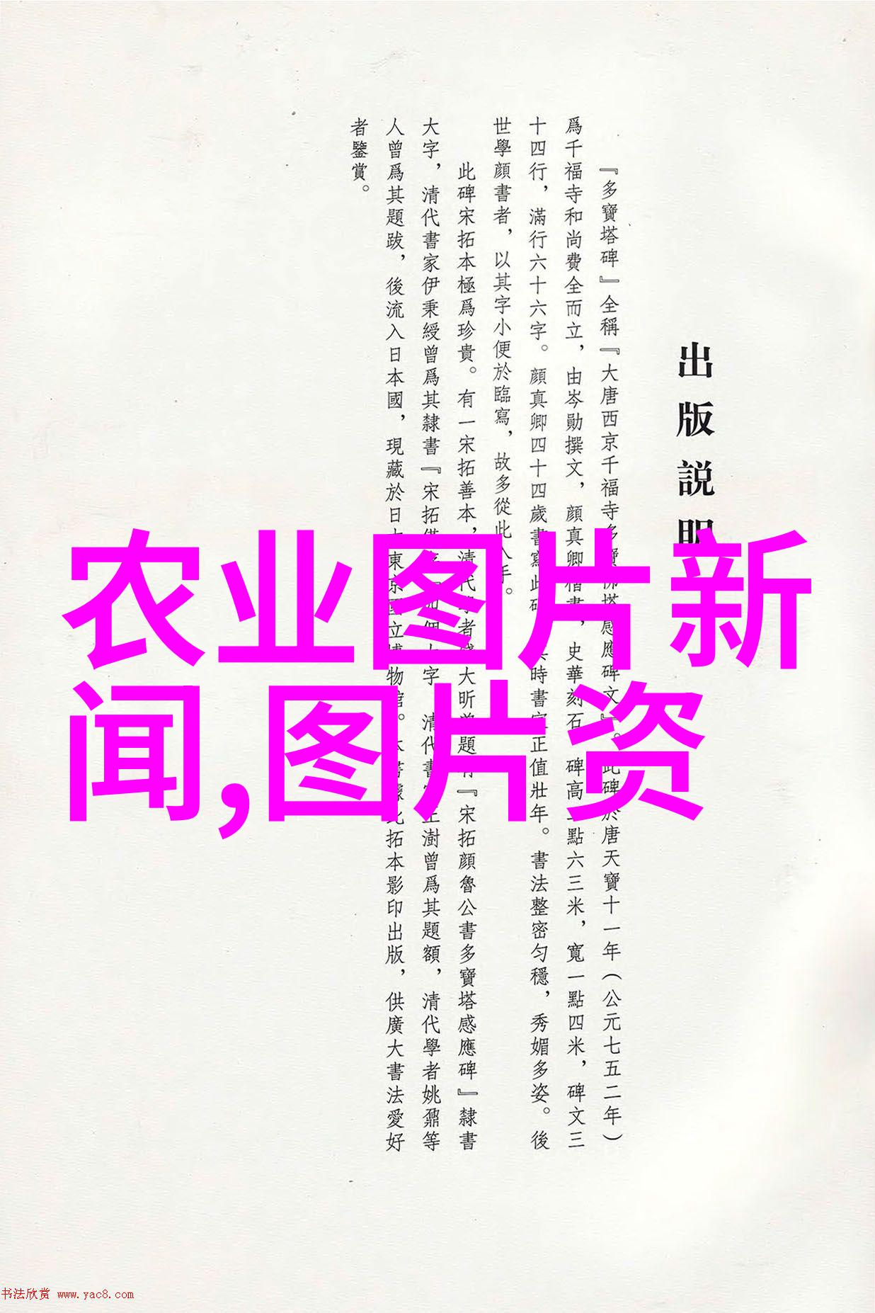 多肉爱好者的注意这些植物你最好避开