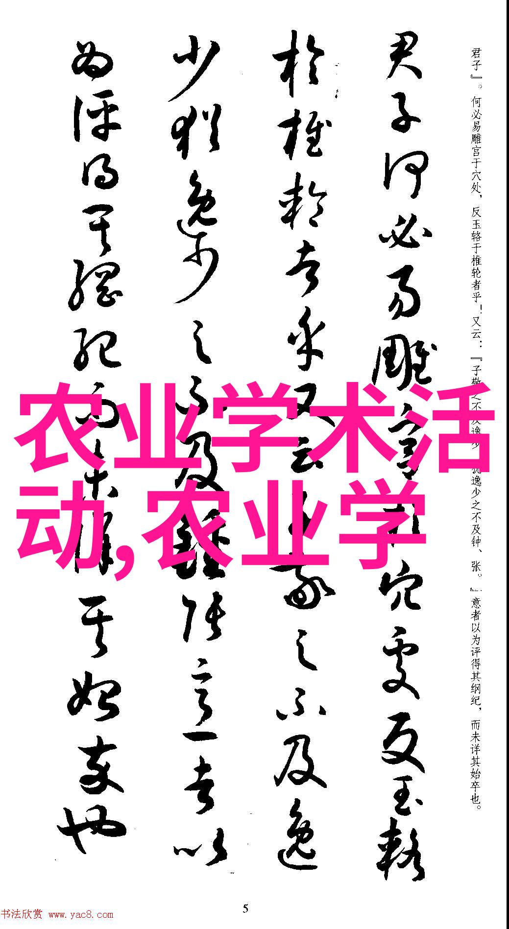 养鹅的技术和方法-精准饲养提升家鸭品质与增产能力
