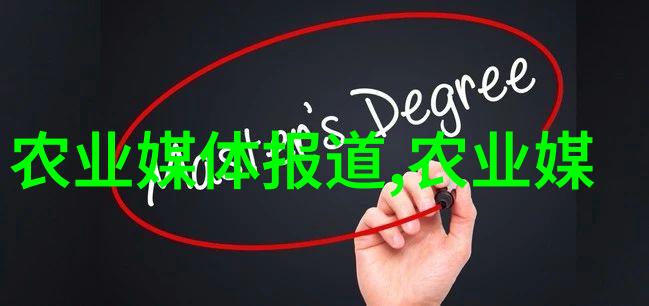 无土栽培一亩投入多少智能农业技术现代绿色种植方法高效水资源管理精准施肥系统