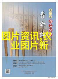 寻觅起点的迷雾之中