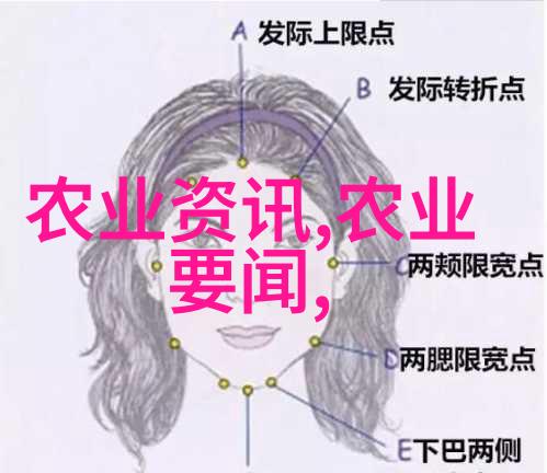蜂群智慧解锁新一代养蜂技术的秘密