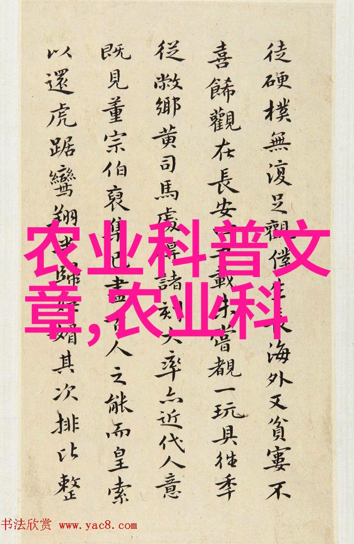 花的语言解读花卉中的情感与文化意义