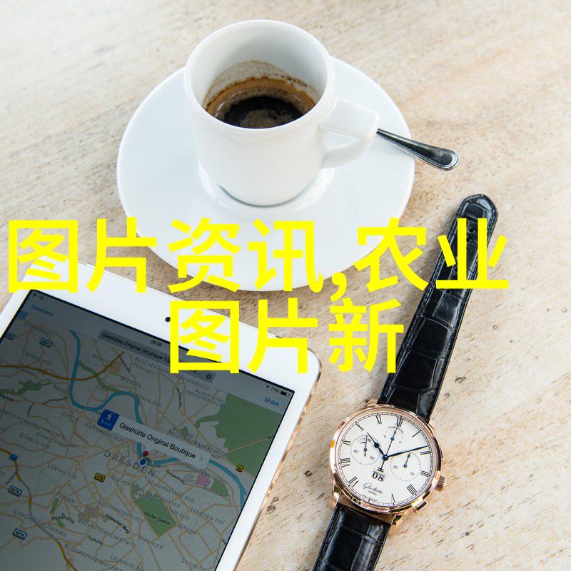 玉米棒自动搬运器带来的便利与乐趣
