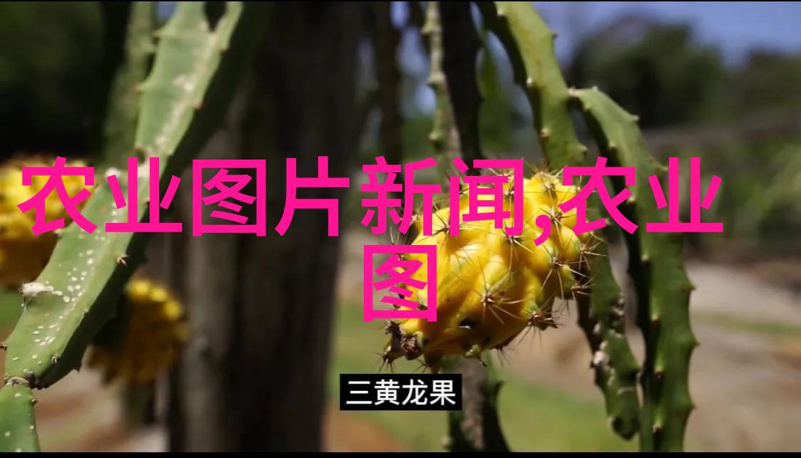 附近今天招工信息招聘我这里有活儿要贴