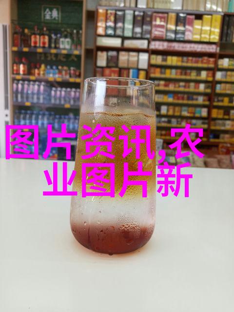 一亩樱桃梦大棚建设全方位分析与预算估算