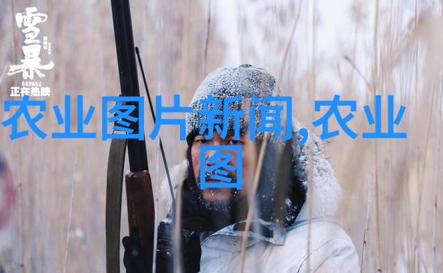 音乐文化-我哥BY雪莉PO一个音乐梦想的诞生
