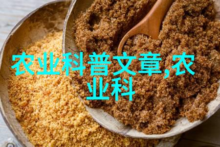室内种植我是如何在小空间里养出满屋花的