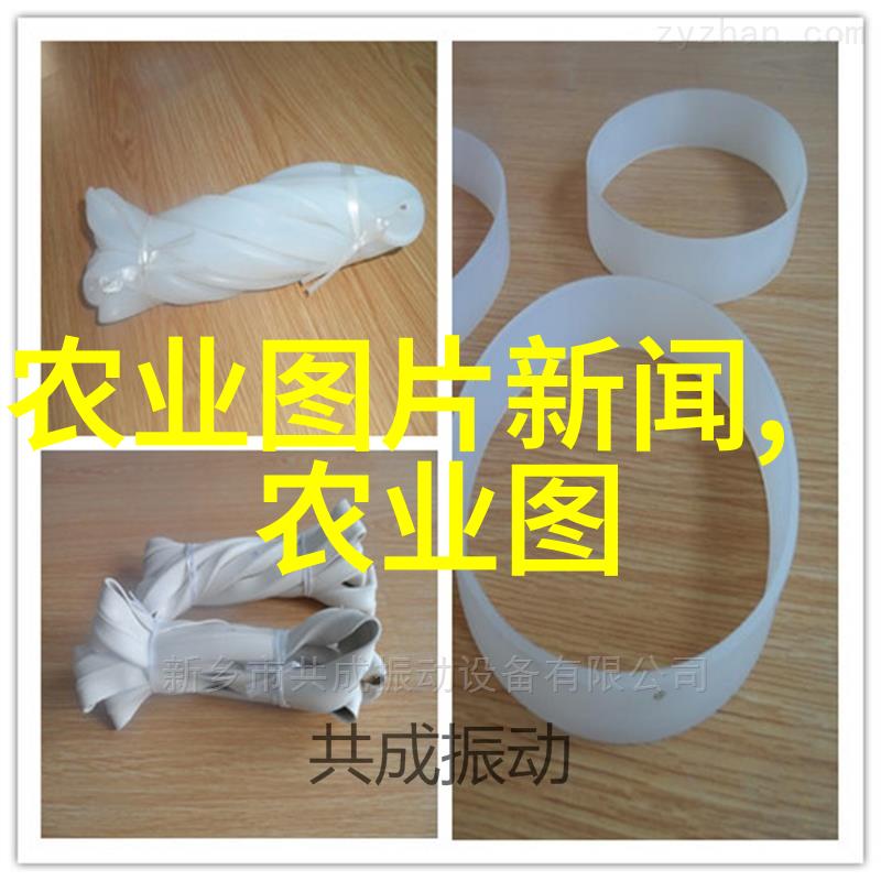 金钱龟养殖技术高效繁育方法与管理技巧