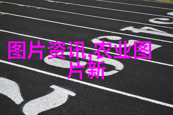 什么蔬菜种植简单-轻松入门5种适合初学者的易于种植蔬菜