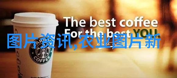 绿意盎然的居家乐园室内种植艺术探索