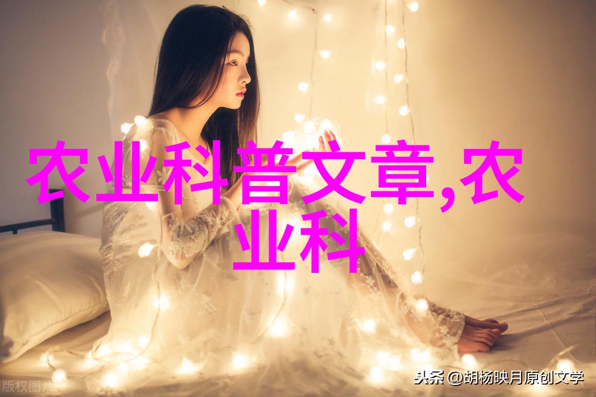 身份号019解密与它相关的秘密