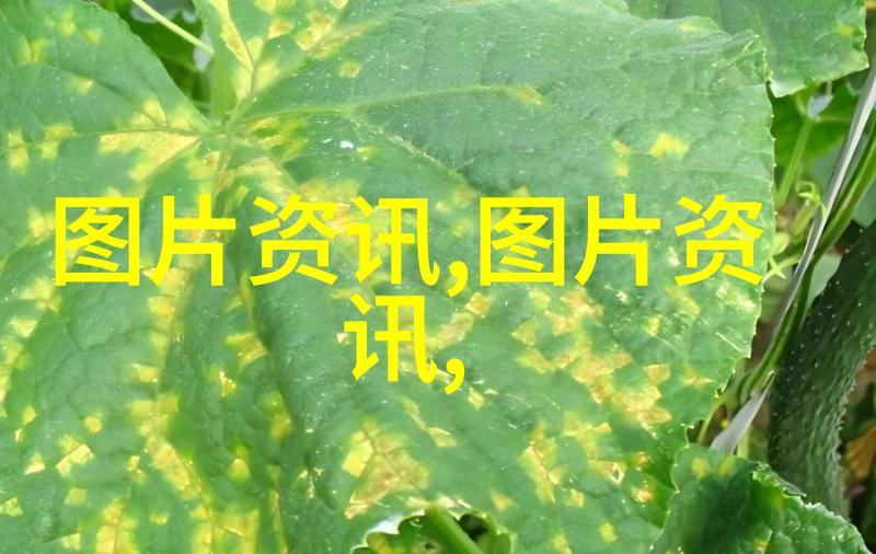 花园里的艺术绘制生命之美的种植策略