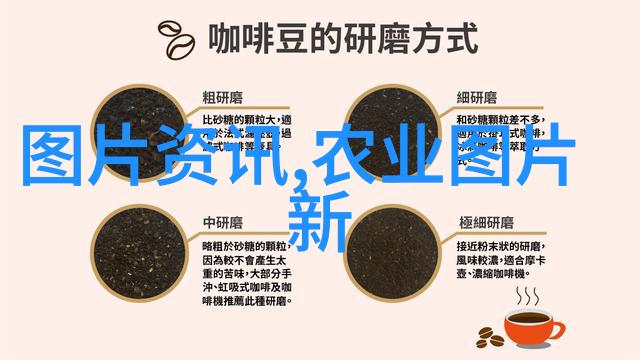 十大最养胃茶我来告诉你这些超级好喝的养胃秘方