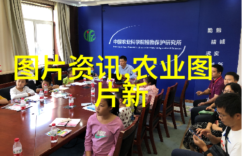 四房播播-四房播播的奇幻音乐会