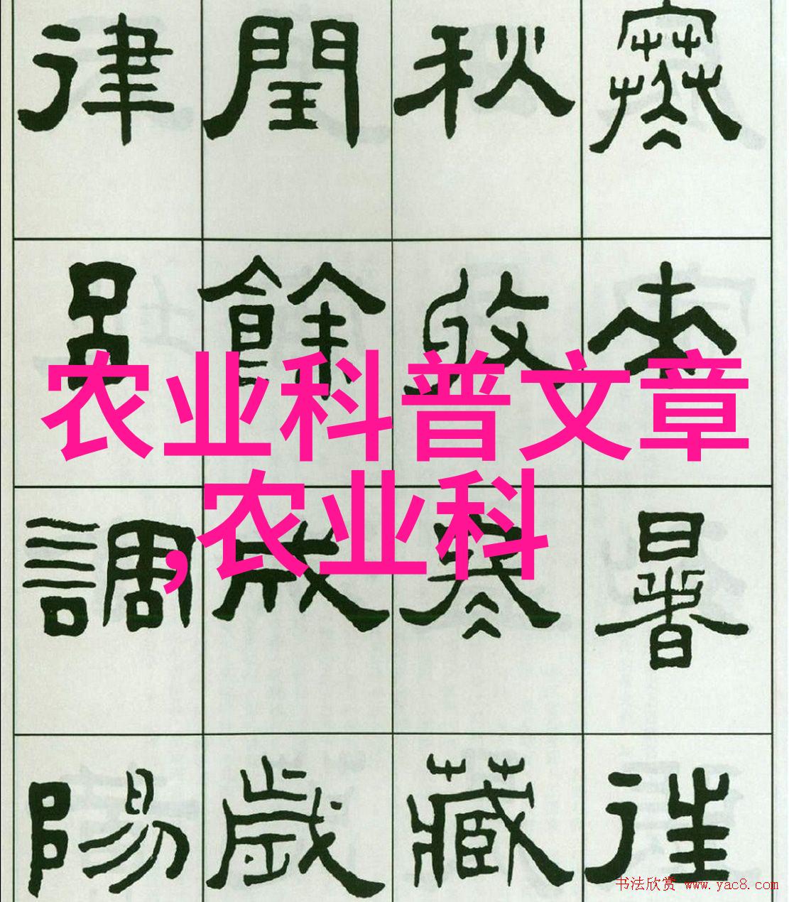 跃动之翼蚂蚱养殖的艺术与智慧