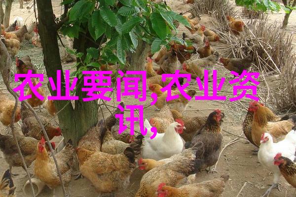工地小型机械设备从土堆到高楼点点滴滴的机器小子