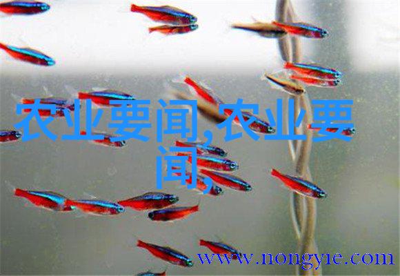 ktv酒瓶门我是如何在ktv的酒瓶门前度过一个难忘夜晚的