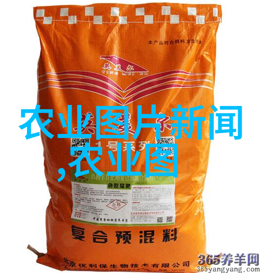 如何处理身为中老年的求职者可能遇到的薪资谈判问题
