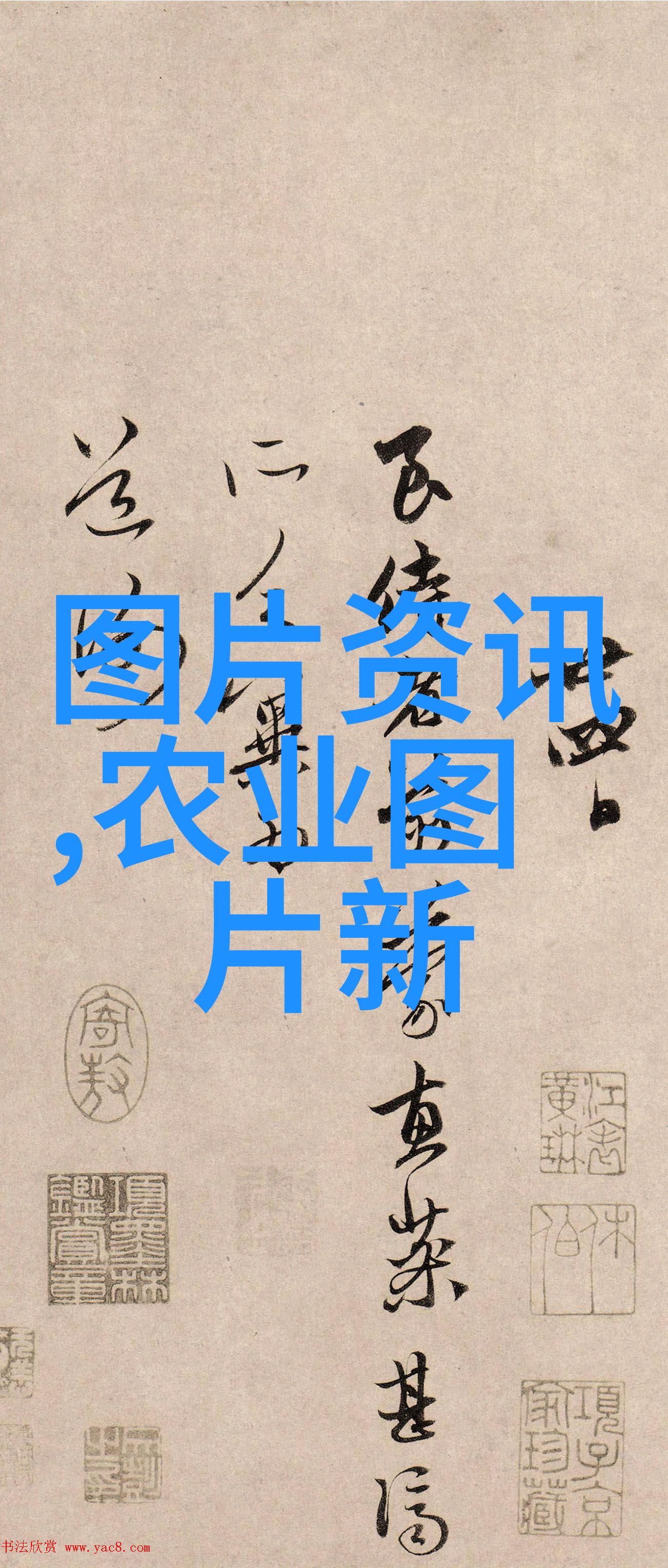 水果资讯我买回来的奇特水果竟然可以用来治愈抑郁