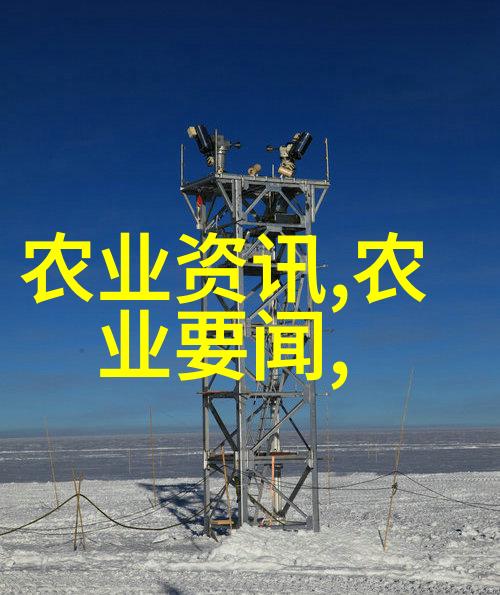 亲手种植享受水果蔬菜的全过程图片指南