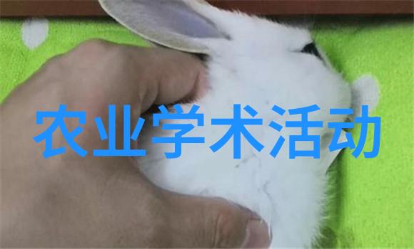在冬季羔羊如何高效饲养