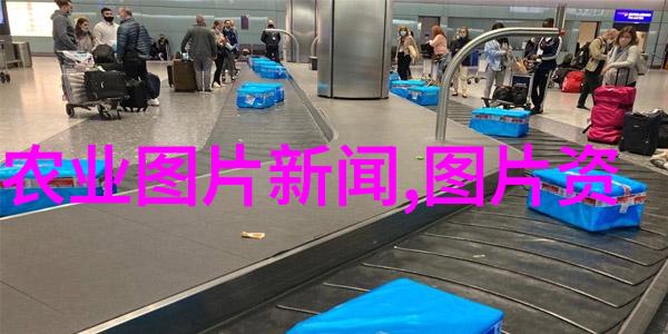 农民种什么才能挣钱咱们来聊聊我怎么种田能赚钱