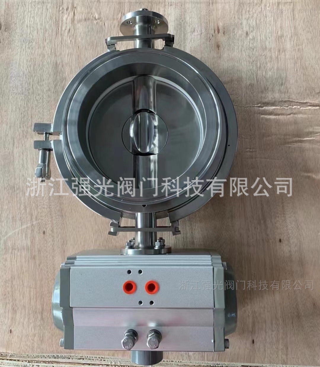 沙漠之冠努比亚山羊的巅峰