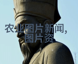 火红的梦想一亩红麻的丰厚利润