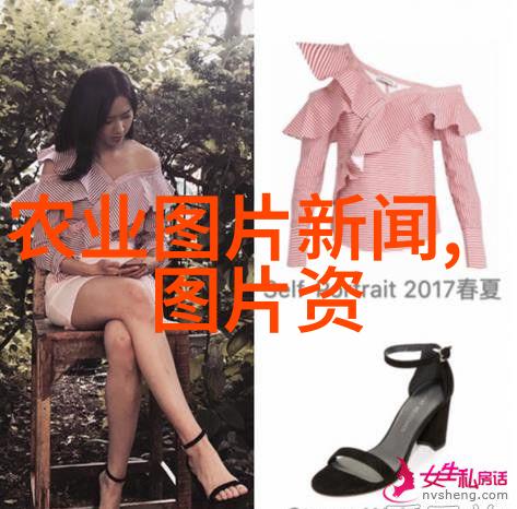 高价上门收购国槐金钱与野生植物的交响曲