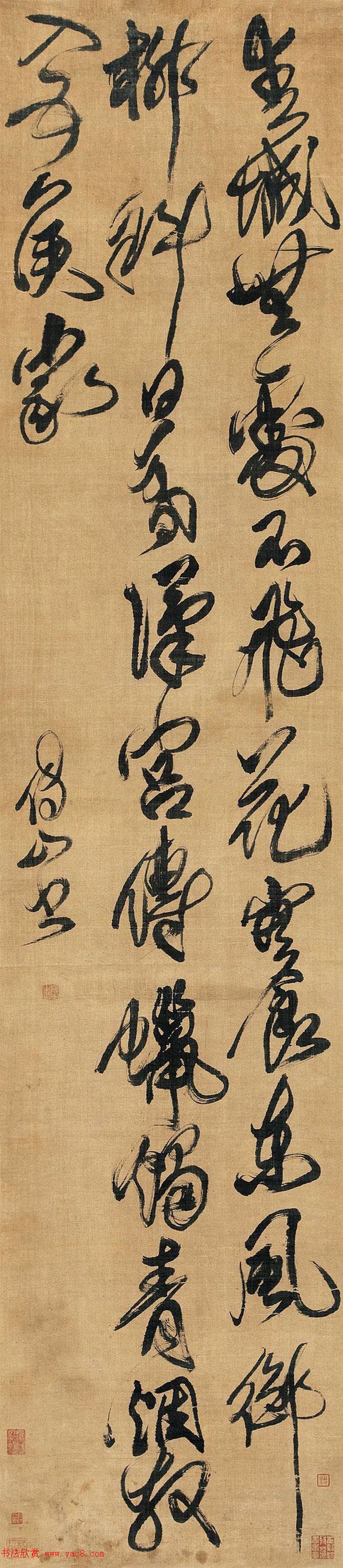 养殖金钱树财源滚滚的奇迹之旅