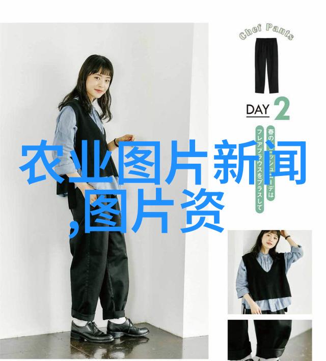 养蜂蜜蜂的智慧掌握这三大技术点丰收如望