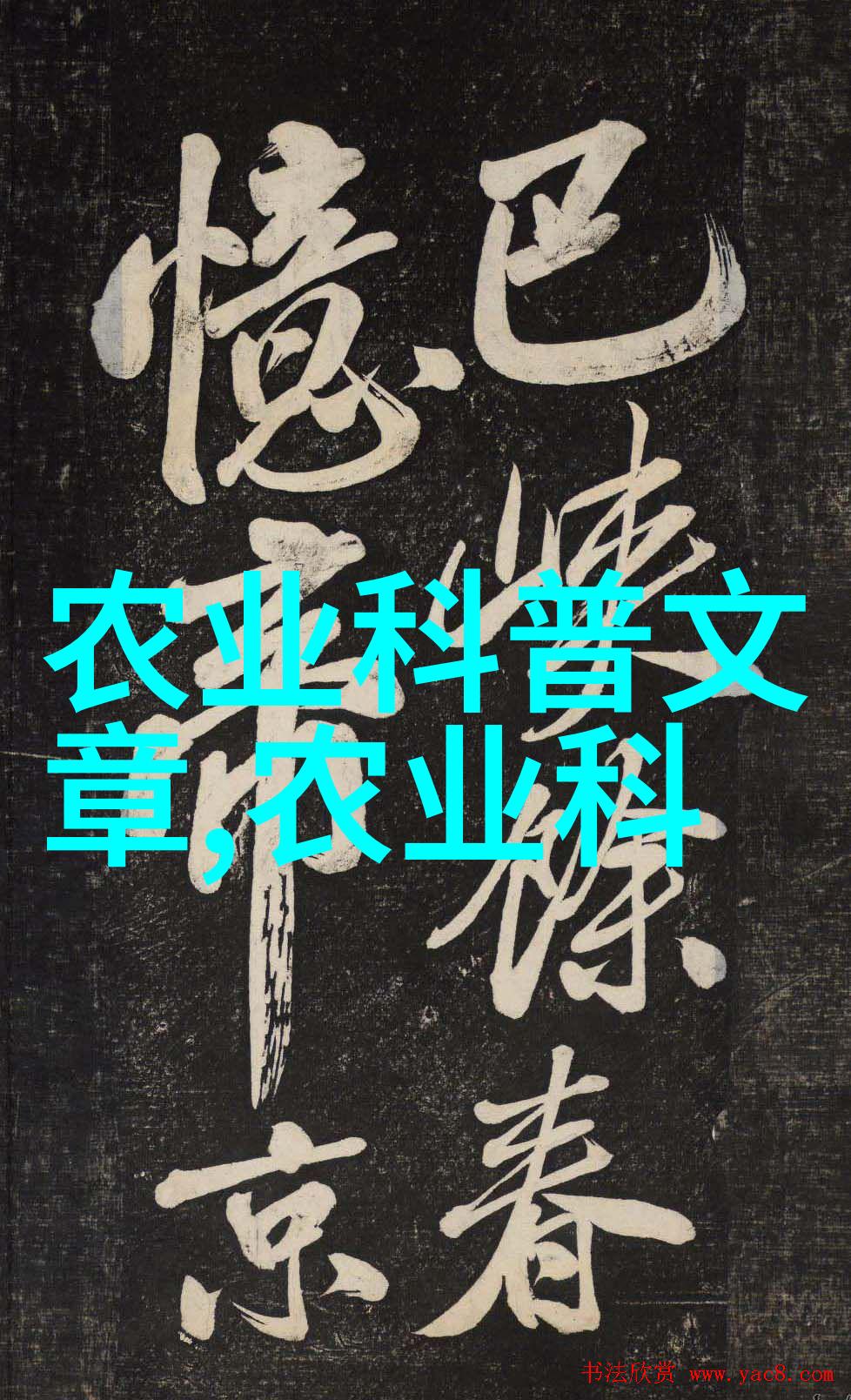 绿色田野的智慧网揭秘中国农业信息网官方网站下载