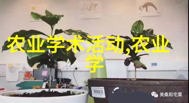 农业种植专家的咨询如何提高作物产量与品质