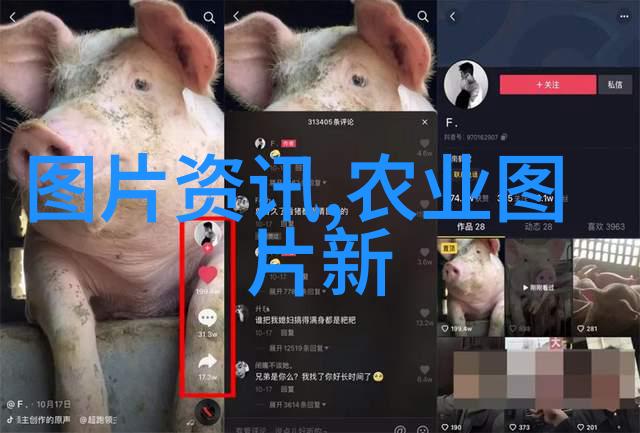 农药使用的新纪元探索乙草胺在现代农业中的作用与挑战