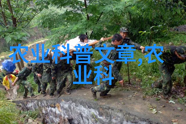 农业培训课程-种植智慧提升现代农业技能的农业培训课程